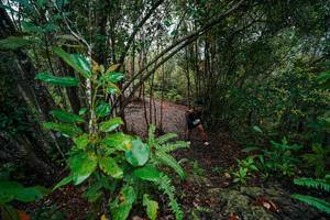 BIB: 
                            <button type="button" onclick="openModal(26196441)" class="btn btn-primary btn-sm float-right btn-popup" data-toggle="modal" data-target=".modal-high-quality">
                        <i class="fas fa-shopping-cart"></i> Add to Cart
                    </button>
                                            <button type="button" onclick="isThisMe(26196441, true)" class="btn btn-success btn-sm float-right btn-popup btn-isme hidden" data-toggle="tooltip" data-placement="bottom" title="นี่คือรูปของคุณใช่ไหม คลิกที่นี่เพื่อเอาเข้าอัลบั้ม">
                        <i class="fas fa-plus"></i> Add to album
                    </button>
                    <button type="button" onclick="isThisMe(26196441, false)" class="btn btn-warning btn-sm float-right btn-popup btn-isnotme hidden">
                        <i class="fas fa-ban"></i> Remove from album
                    </button>